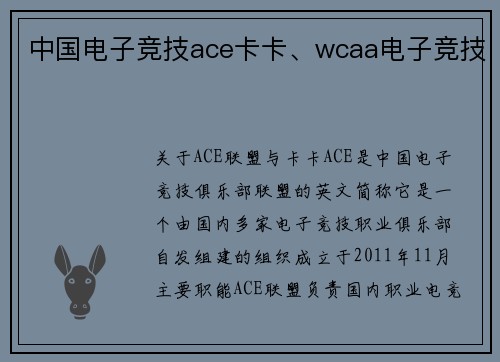 中国电子竞技ace卡卡、wcaa电子竞技